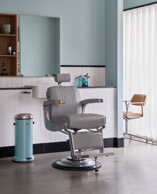 Henri ramène Vipp dans le salon de coiffure